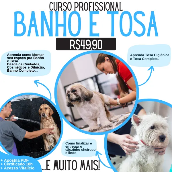 Curso de Banho e Tosa