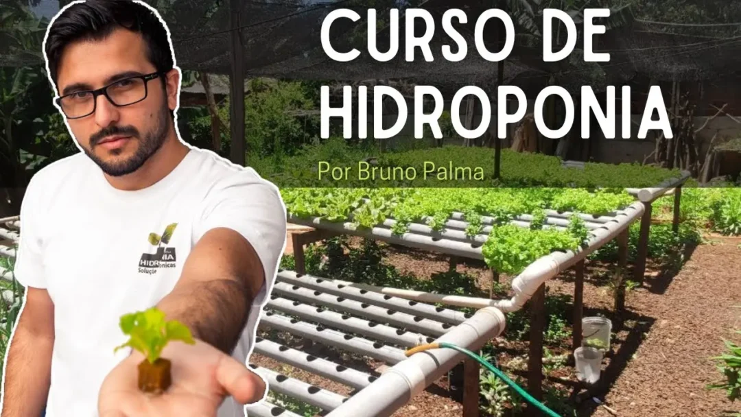 Curso de Hidroponia